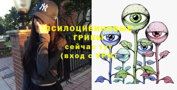 крисы Волоколамск